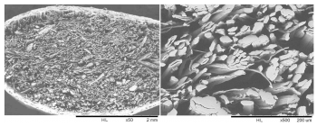 Images de fibres de chanvre en coupe transversale, prises au Microscope Électronique à Balayage.