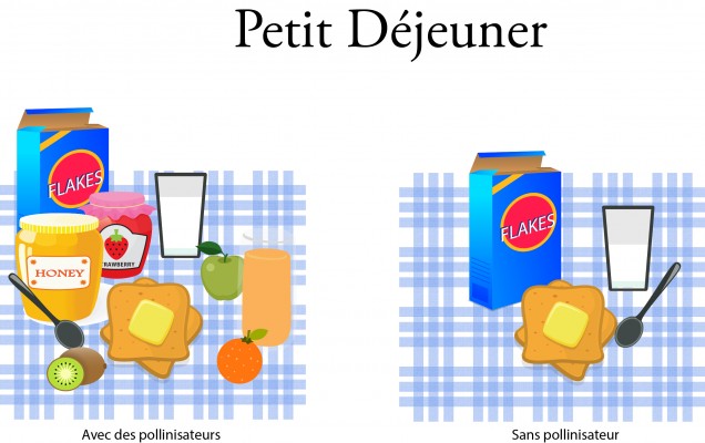 petit dejeuner