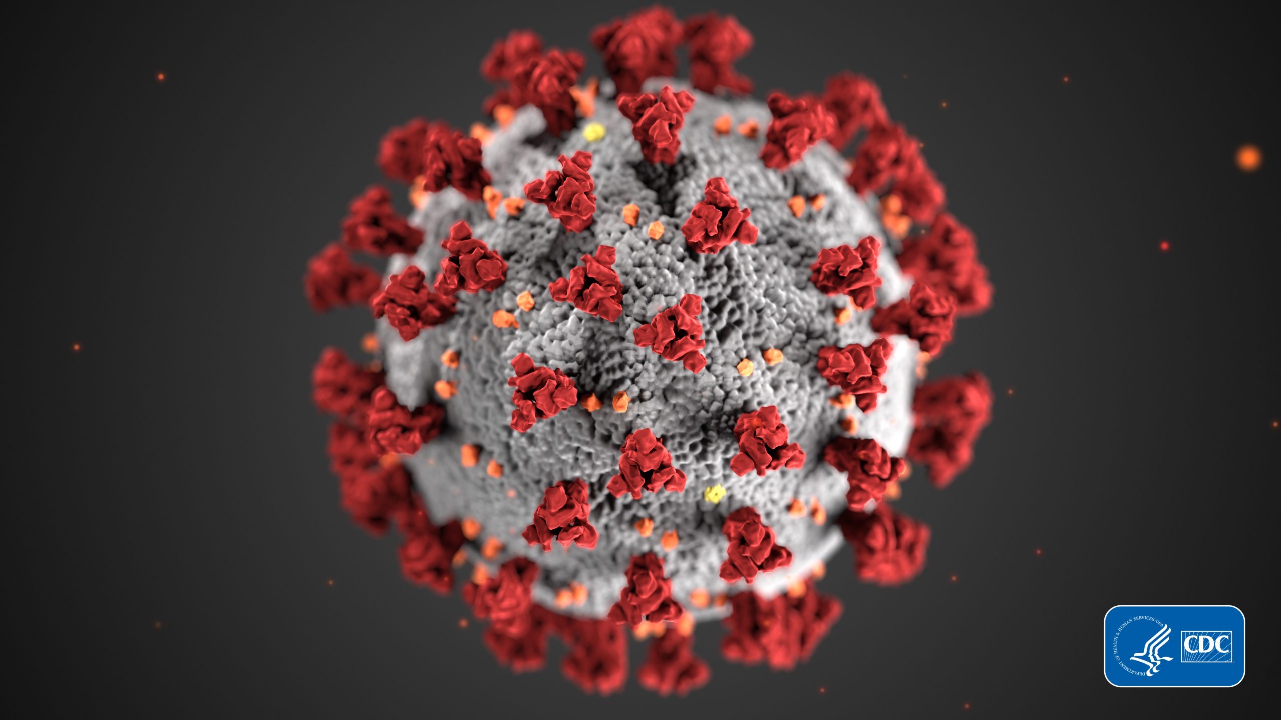Image de la molécule de coronavirus.